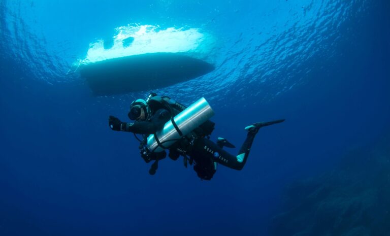 dive meetup
