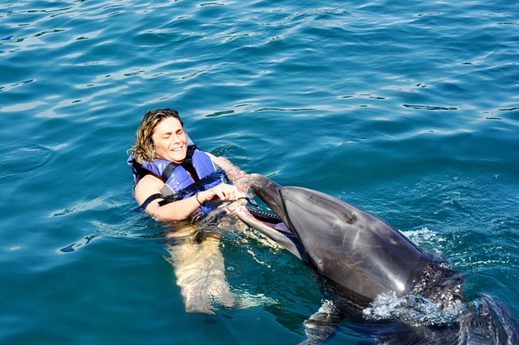 Swimming with dolphins during a safe scuba diving experience